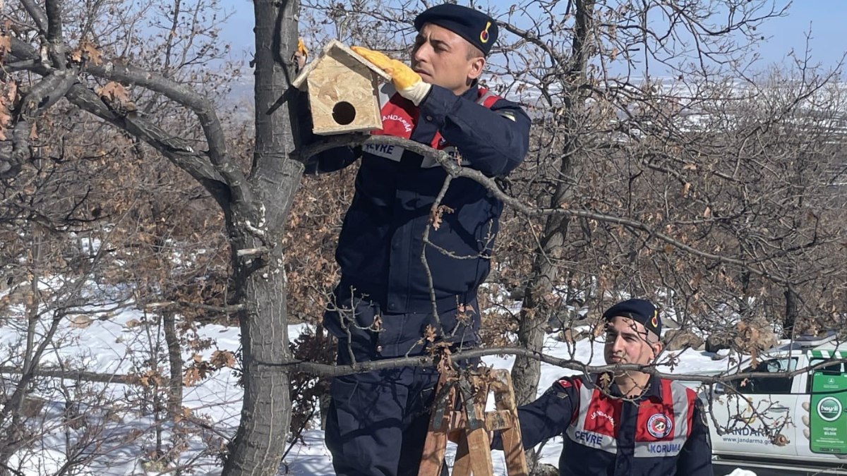 Aksaray’da jandarma yaban kuşlarına yuva yapıp ağaçlara astı